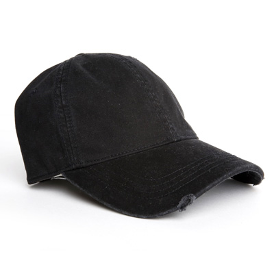 CAP101