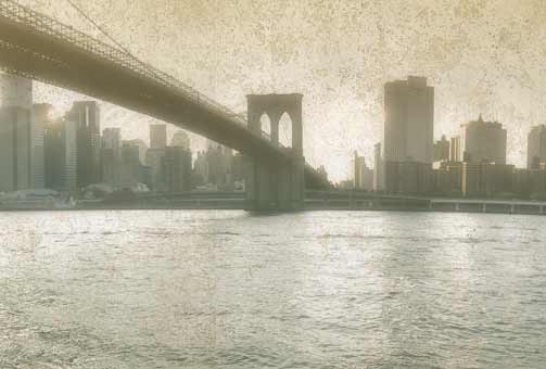 Schott Nyc